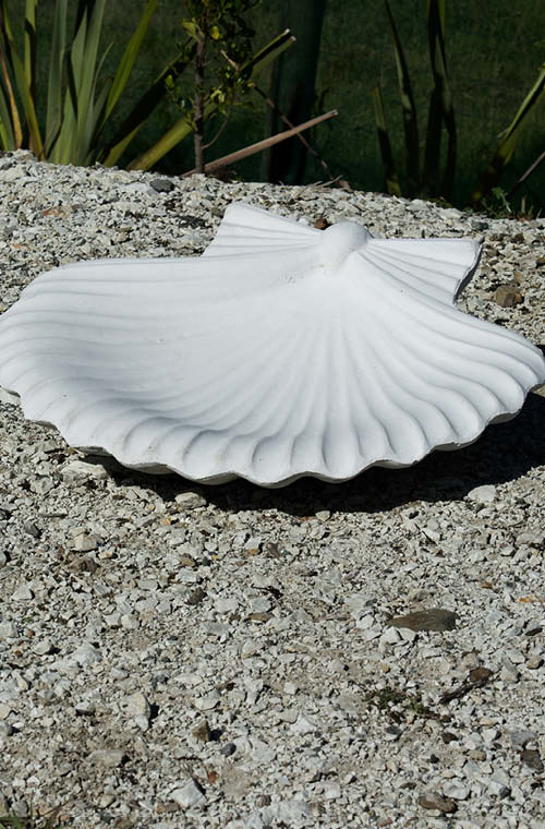 Clam Shell | Inner Gardens